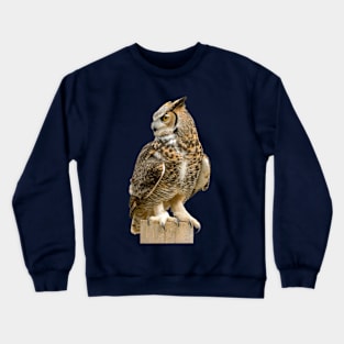 The great owl Crewneck Sweatshirt